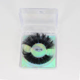 Luxury 5D-10 mink eyelashes in transparent case.